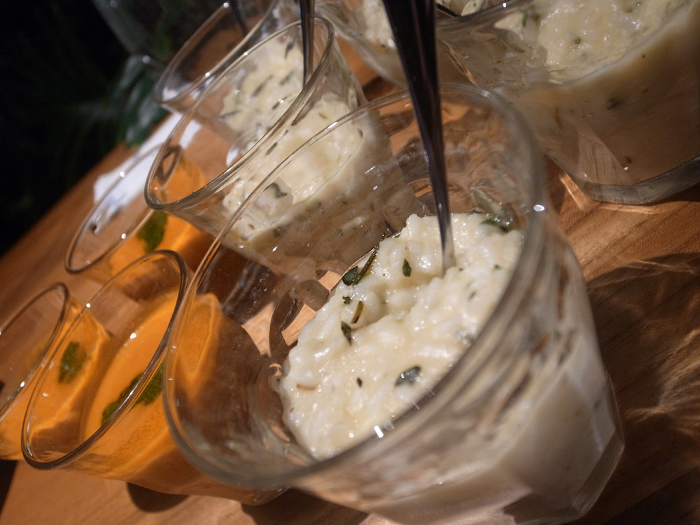 Nikon Blogger-Workshop