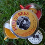 j’adore Bees // Burt’s Bees 